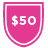 TeamRaiser Achievement Badge